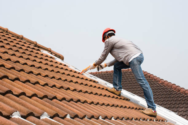 Best Gutter Installation and Repair  in Mcalmont, AR